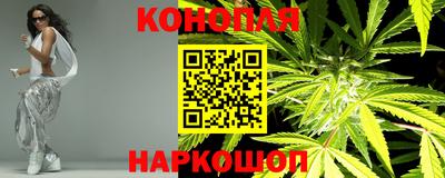 крисы Лесосибирск