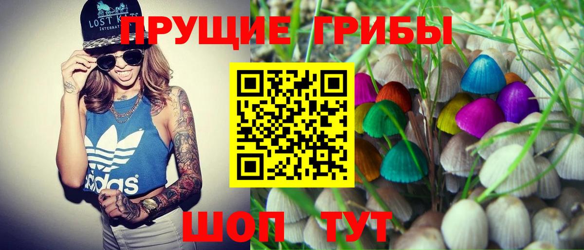 Псилоцибиновые грибы Psilocybine cubensis Вязники